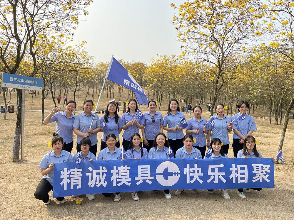 踏青赏花     凡荣（精诚）模具喜迎三八国际妇女节